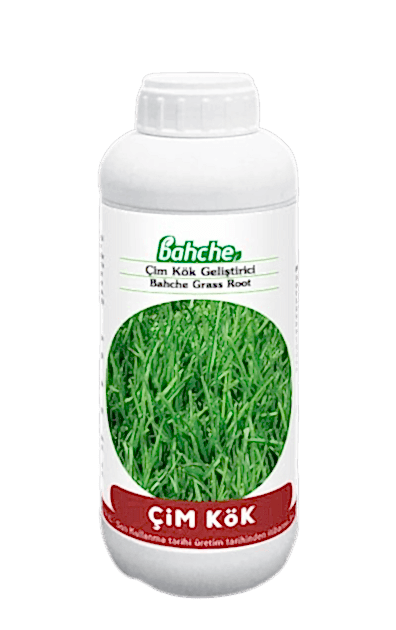 Bahche Çim Kök