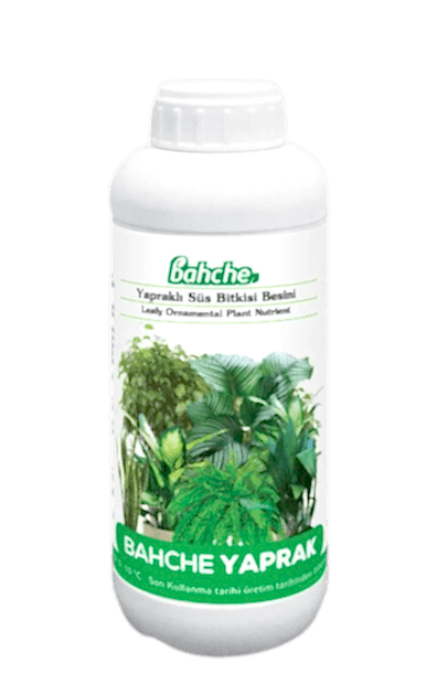 Bahche Yaprak